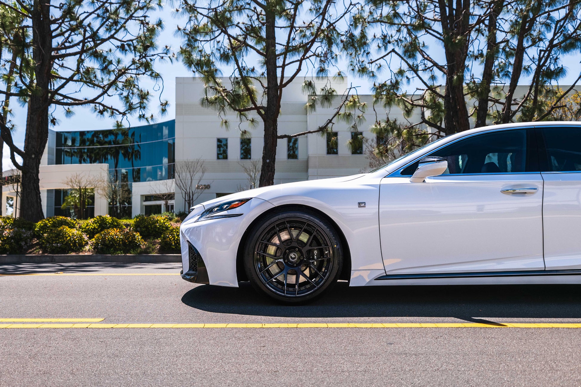Lexus LS 500 (2018+) Sport Springs - Swift Springs USA
