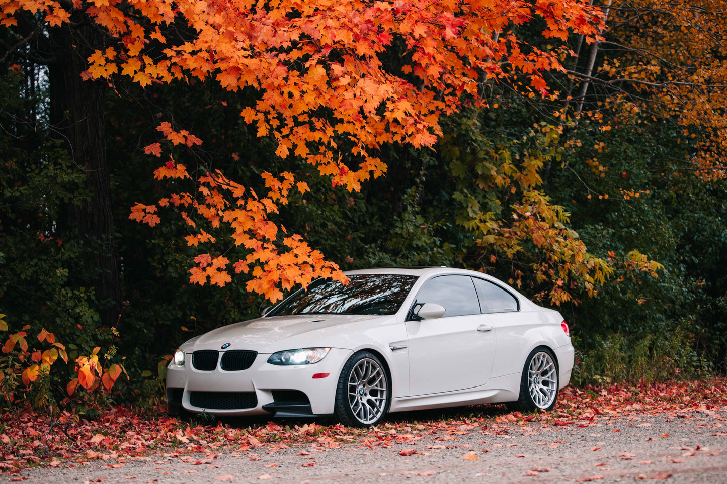 BMW M3 E90/E92/E93 (2008–2013) Spec-R Lowering Springs - Swift Springs USA