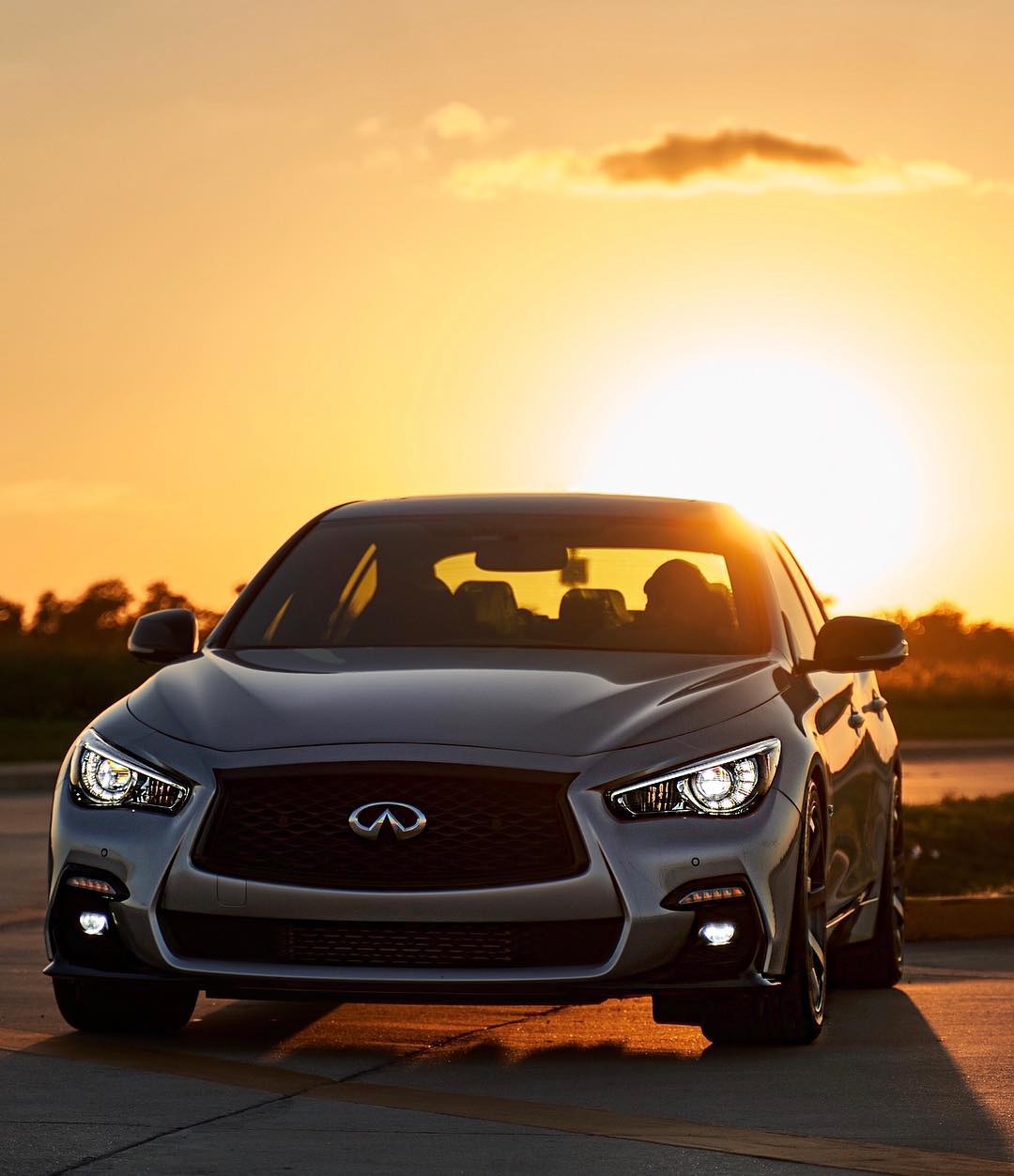 Infiniti Q50 RWD (2014-2018) Sport Springs - Swift Springs USA