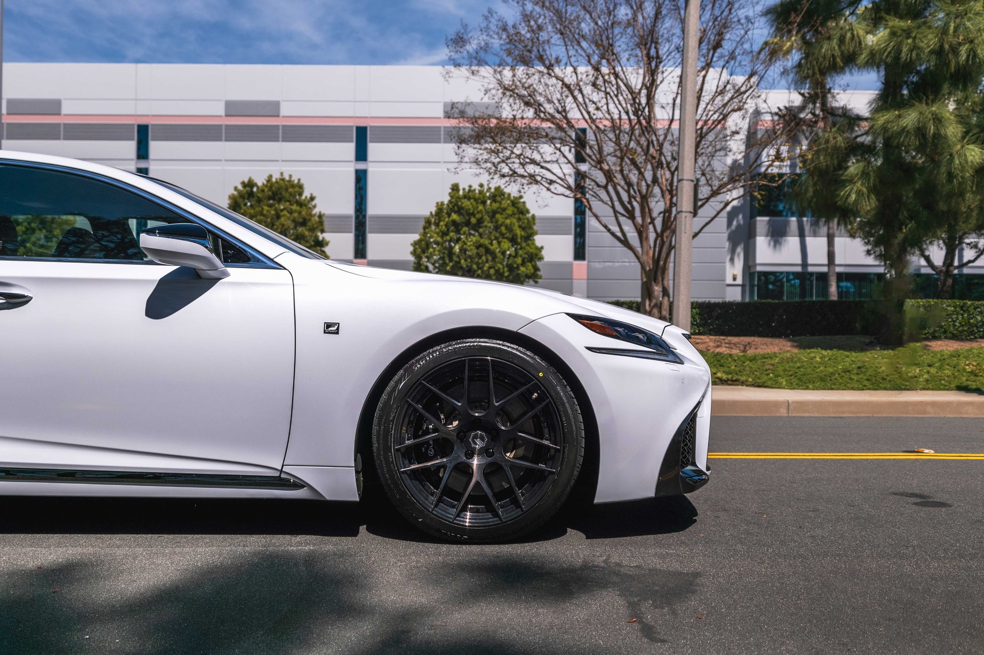 Lexus LS 500 (2018+) Sport Springs - Swift Springs USA