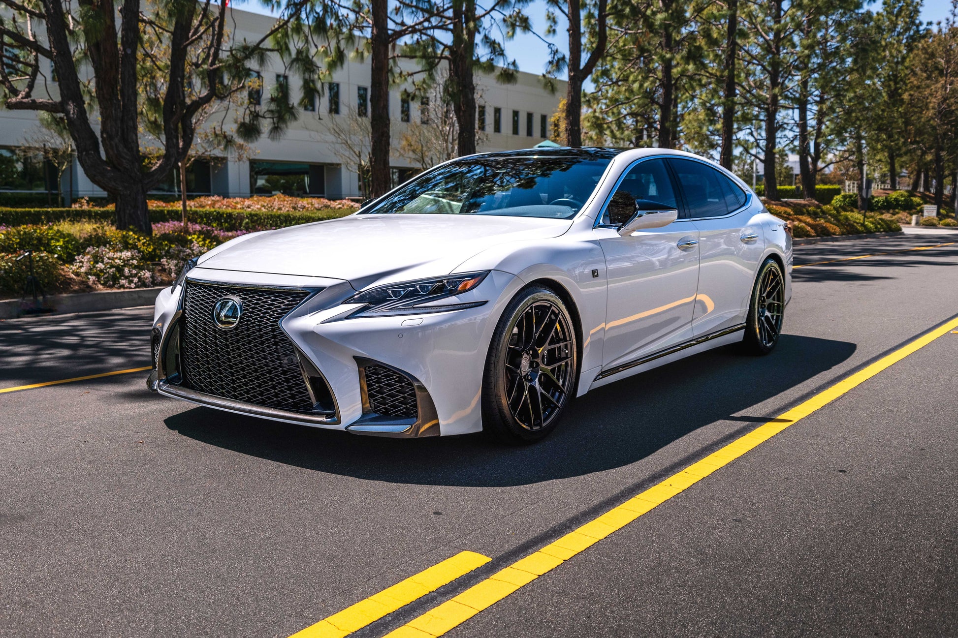Lexus LS 500 (2018+) Sport Springs - Swift Springs USA