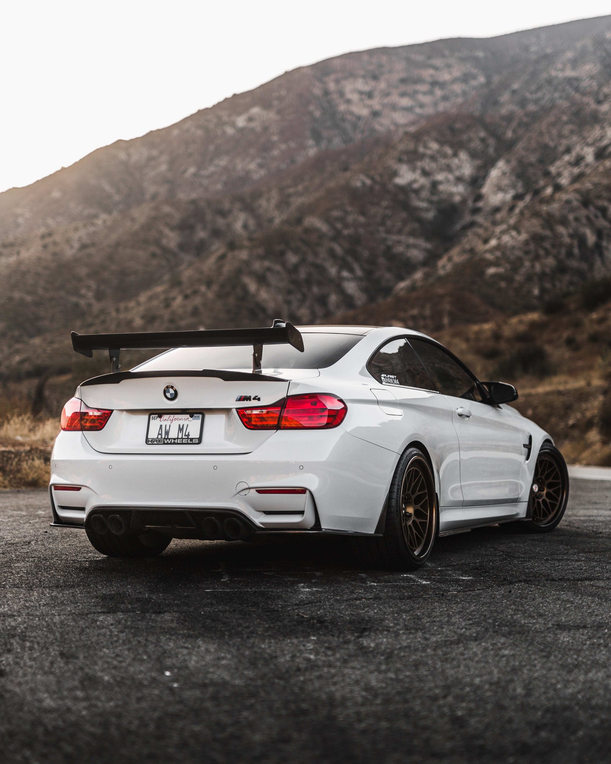 BMW M4 F82 (2015–2020) Spec-R Lowering Springs - Swift Springs USA
