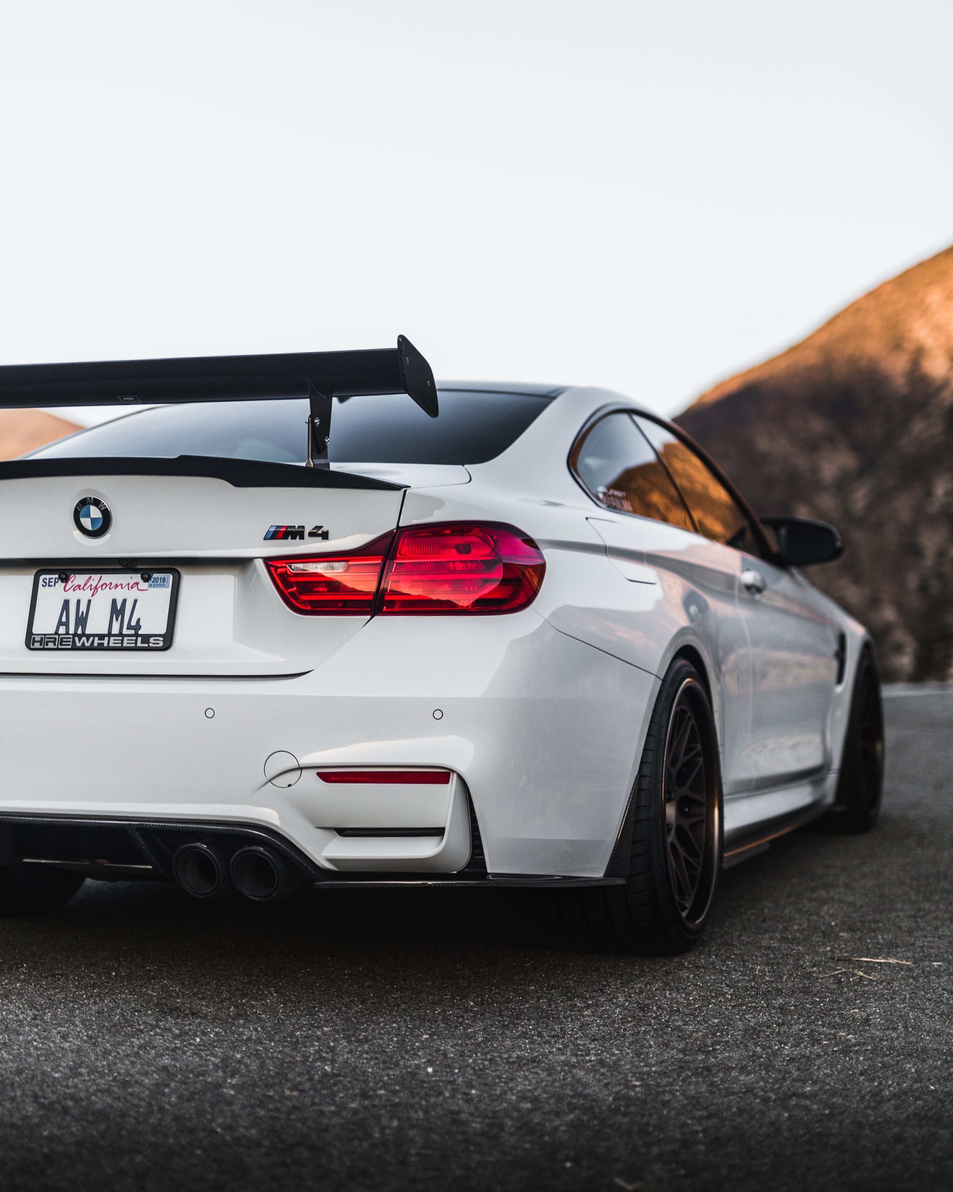 BMW M4 F82 (2015–2020) Spec-R Lowering Springs - Swift Springs USA