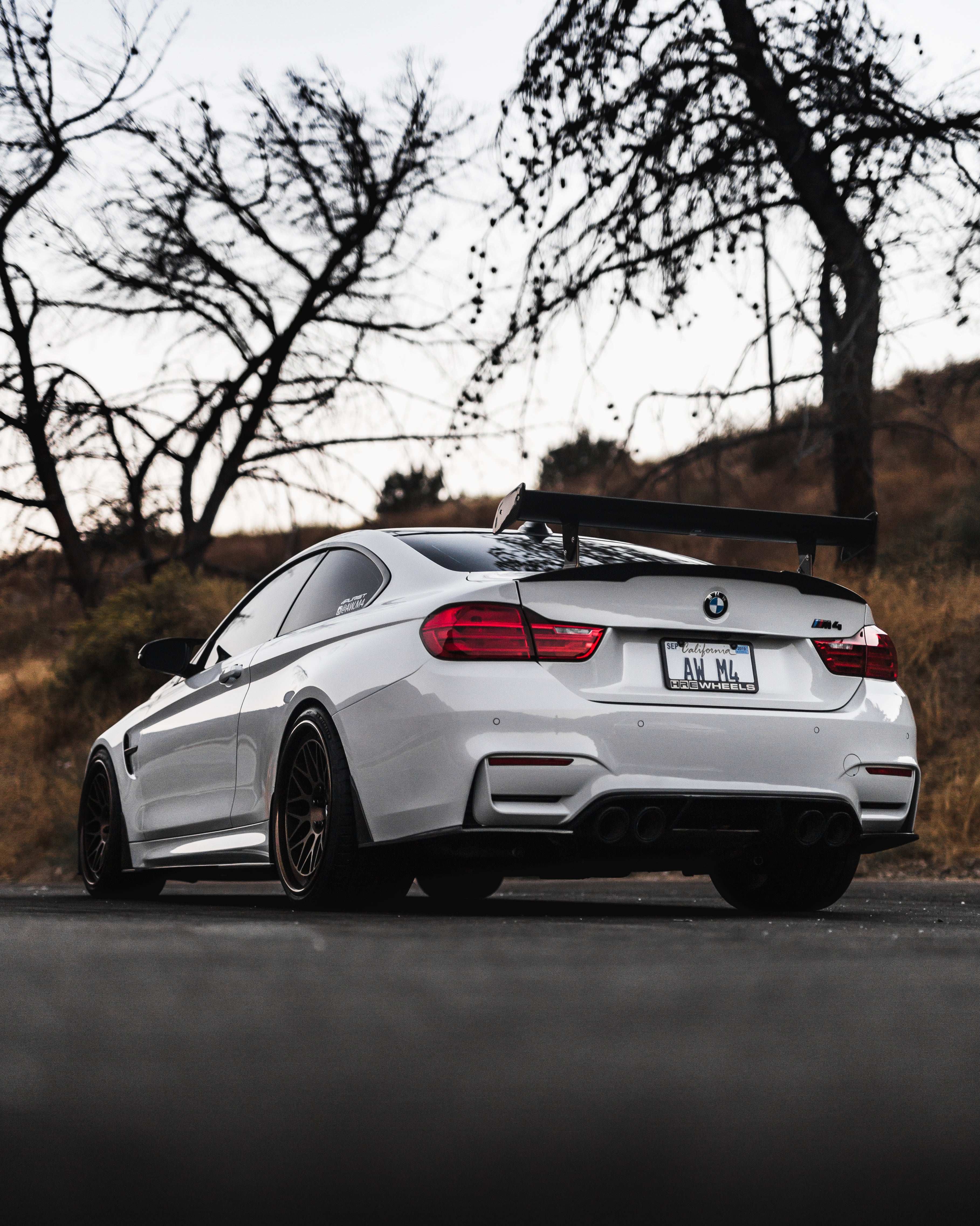 BMW M4 F82 (2015–2020) Spec-R Lowering Springs - Swift Springs USA