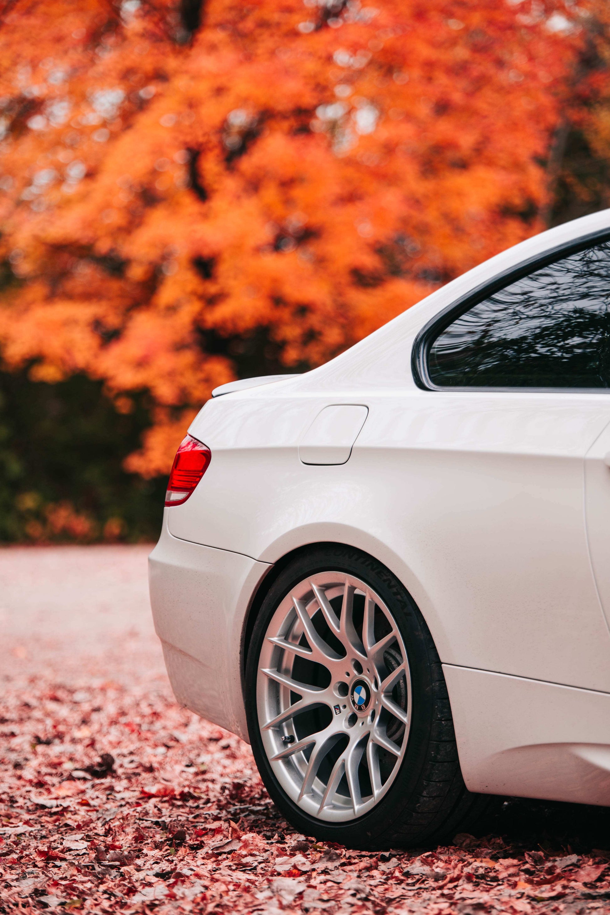 BMW M3 E90/E92/E93 (2008–2013) Spec-R Lowering Springs - Swift Springs USA